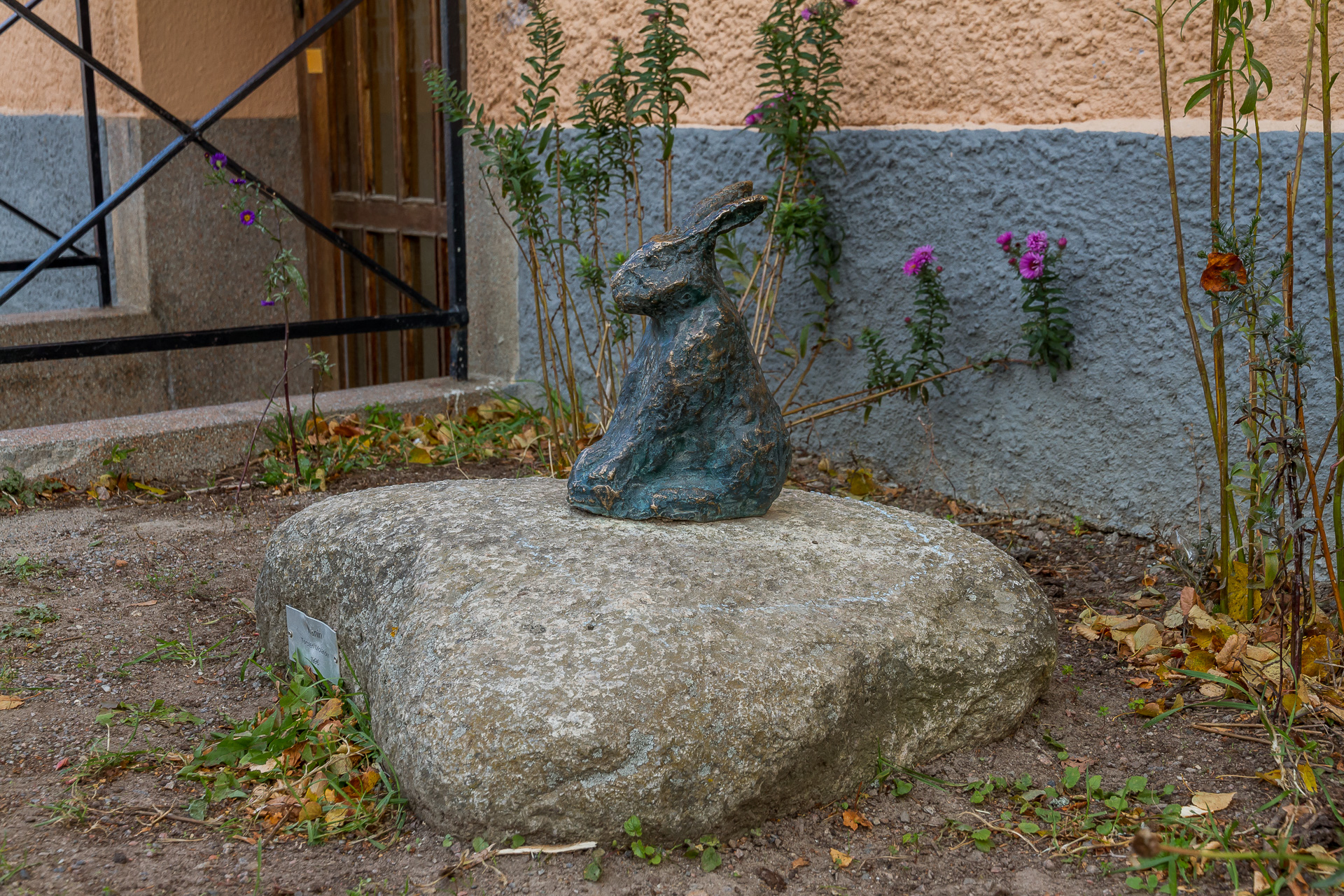 Kanin på en sten.