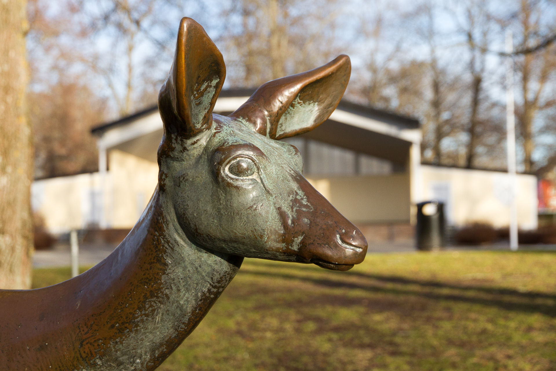 En bronsskulptur föreställande en hjort - närbild på huvudet.