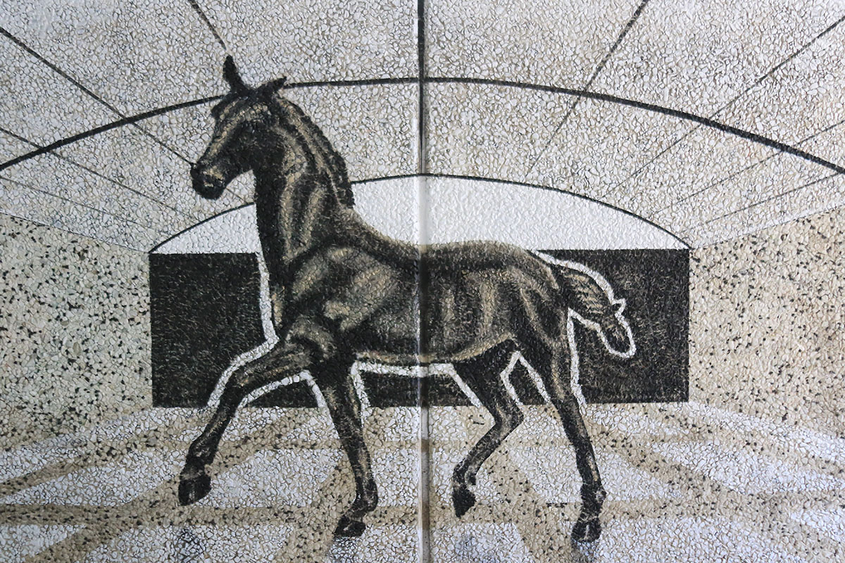 En svart vacker häst med ena frambenet framåtsträckt.